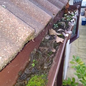 Gutter Clearing Essex
